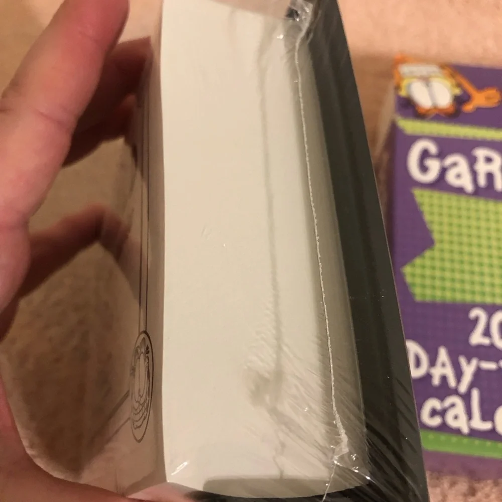 2005 Garfield Day by Day Desk Calendar Unopened
